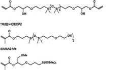 Figure C0282231600461