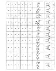 Figure A20081018956900571