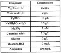 Figure imgf000051_0001