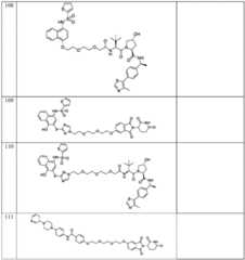 Figure BDA0003027048450003831