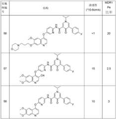 Figure BDA0003145918540001101