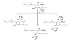 Figure imgf000067_0001