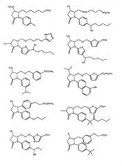 Figure G2007800369601D00241