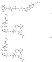 Figure FDA0002268634570000601