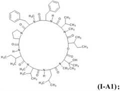 Figure FDA0003976656690000011