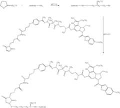 Figure US07691962-20100406-C00117