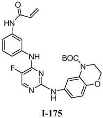 Figure BDA0001453135130002342