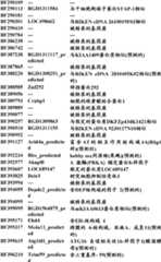 Figure BDA0000057170160001151