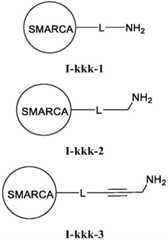 Figure FDA0003783300820000421
