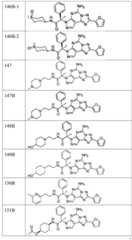 Figure FDA0003465902320000301