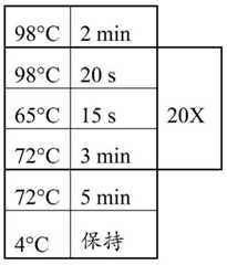 Figure GDA0003298213970001263