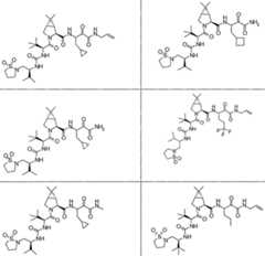 Figure imgf000259_0001