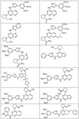 Figure imgf000701_0001