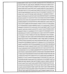 Figure 0007438604000091