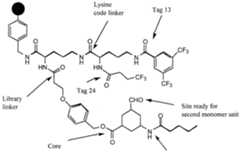 Figure imgf000026_0001