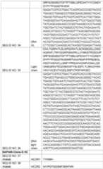 Figure imgf000028_0001