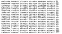 Figure 104109152-A0305-02-0131-11