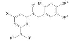 Figure imgf000004_0001