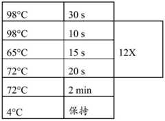 Figure GDA0003298213970001232