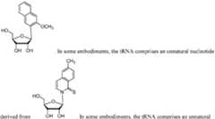 Figure imgf000062_0005