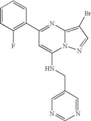 Figure US07119200-20061010-C00121