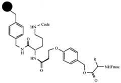 Figure imgf000033_0001