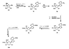 Figure 0007417529000061