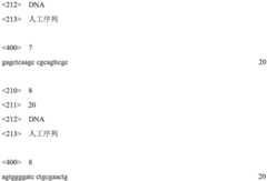 Figure BDA0001619708280000111