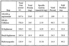Figure imgf000033_0001