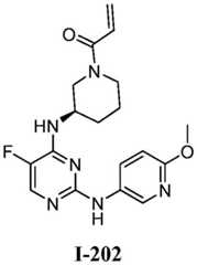 Figure BDA0001453135130002833