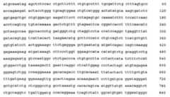 Figure 108128641-A0202-12-0304-686