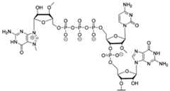 Figure imgf000097_0001