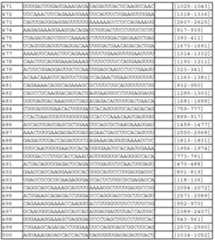 Figure 112011031303859-pct00178