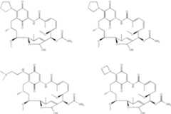 Figure US07465718-20081216-C00269