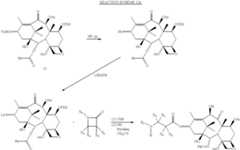 Figure US06339164-20020115-C00026