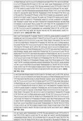 Figure imgf000113_0001