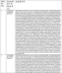 Figure BDA0003549429610000541