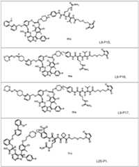 Figure imgf000059_0001