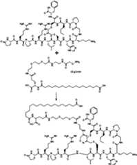 Figure imgf000017_0001