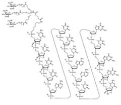 Figure 0007422816000003