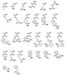 Figure JPOXMLDOC01-appb-C000044