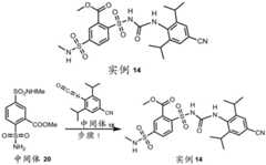 Figure BDA0002935257550004411