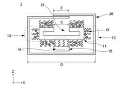 Figure 2021133168