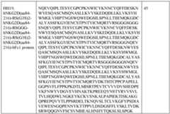 Figure imgf000138_0001