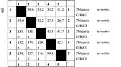 Figure GSB00000583502900921