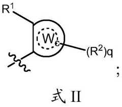 Figure BDA0001937647270002162