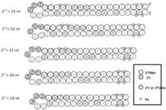 Figure imgf000066_0001