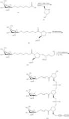 Figure US09957292-20180501-C00338