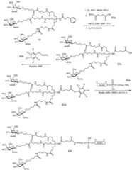 Figure imgf000220_0001