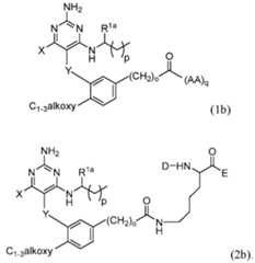 Figure imgf000035_0001